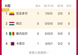 荷兰vs塞内加尔(荷兰vs塞内加尔回放)