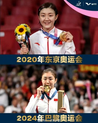 女单决赛乒乓球直播(女单决赛乒乓球直播时间表)