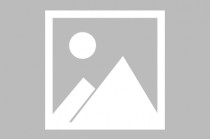 包含山猫免费nba直播视频直播的词条