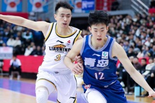 辽宁体育频道直播篮球(cba辽宁男篮今晚直播)
