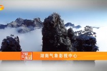 湖南卫视在线直播观看tv(湖南卫视在线直播观看tv节目表)
