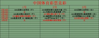 中国体育彩票竞彩(中国体育彩票竞彩资格查询)