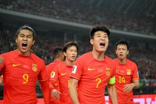 中国进入世界杯(中国进入世界杯球员名单)