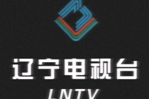 直播辽宁卫视在线直播(直播辽宁卫视在线直播节目表)
