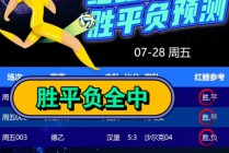 竞彩足球胜平负计算器混合过关(竞彩足球胜平负计算器混合过关足球比分)