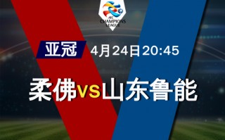 山东鲁能集团简介(山东鲁能集团太子爷)