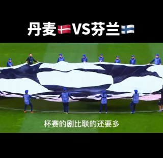 丹麦vs芬兰比分结果(丹麦vs芬兰比分结果分析)