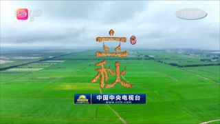 深圳卫视在线直播免费观看(深圳卫视在线直播免费观看节目)