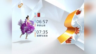 山东卫视直播回看(山东卫视直播回看在线)
