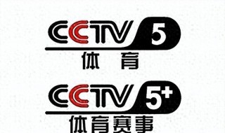 央视体育视频直播(央视体育视频直播节目表)