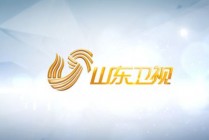 山东电视台(山东电视台齐鲁频道)