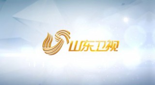 山东电视台(山东电视台齐鲁频道)