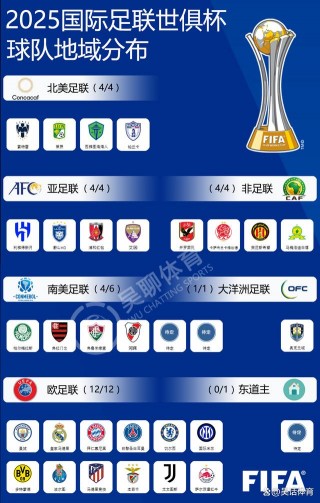 足球世界杯共有32支球队(世界杯有32支足球队参加比赛)