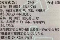 荷乙最新比分及积分榜(荷乙最新比分及积分榜新浪)