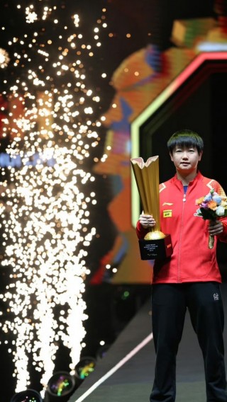 孙颖莎离大满贯还缺什么(孙颖莎离大满贯还缺什么冠军)