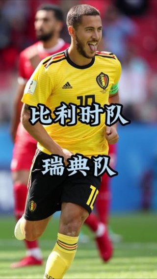 比利时瑞典欧洲杯(2021欧洲杯比利时国家队)