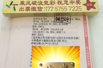 中国足彩比分值插(中国足彩网即时比分时比分)