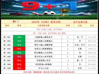 足球比赛分析(足球比赛分析报告)