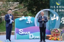 山东齐鲁频道直播(山东齐鲁频道直播回看)
