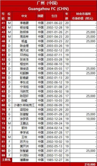 广州恒大亚冠名单(广州恒大亚冠冠军阵容)