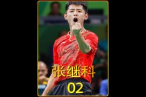 张继科不参加东京奥运会(张继科没什么没参加东京奥运会)