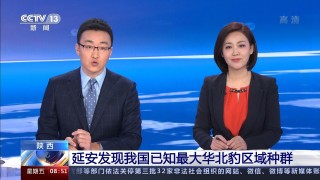 中央13台新闻频道(中央电视台新闻频道cctv 1)