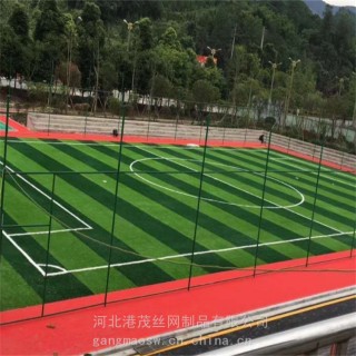 体育网(体育网站哪个好)