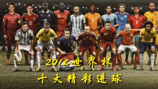 2014年世界杯冠军阵容(2014年世界杯冠军阵容表)