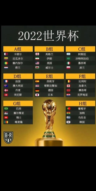 足球世界杯2022赛程(足球世界杯2022赛程及结果表)，足球世界杯2022赛程及结果表揭晓，足球世界杯2022赛程及结果表揭晓，赛事精彩瞬间一网打尽