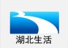 湖北卫视(湖北卫视回放)