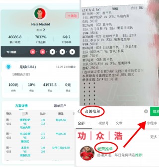 澳大利亚v丹麦比分预测(丹麦vs澳大利亚在线讨论)