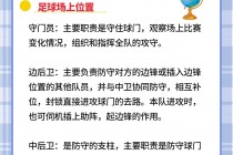 足球的一些基本知识(足球的一些基本知识越短越好)