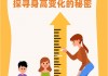 身高(身高体重对照表2025标准)