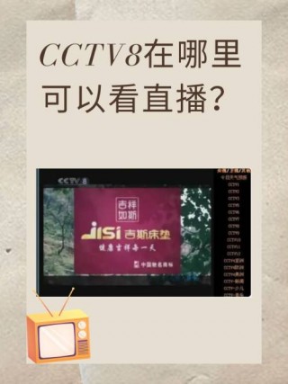 直播在线观看cctv1(朝闻天下直播在线观看cctv1)