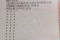 足彩开奖结果查询(足彩开奖结果查询胜平负)