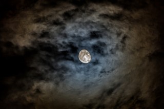 月夜直播下载(春雨直播安装包)