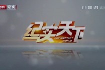 btv官网(btv官网预订)