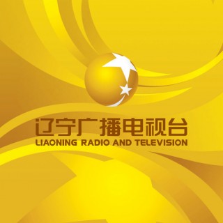辽宁卫视电视台(辽宁卫视电视台直播入口官网最新)