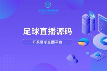 360无插件足球直播(360足球直播网app下载 迅雷下载)