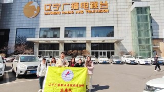 辽宁电视台直播官网(辽宁电视台直播官网首页)