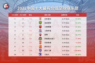 足球排名前十(足球排名前十名的人)