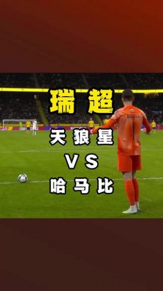 日本对瑞典比分预测(日本对瑞典乒乓球直播)