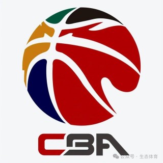 世界篮球联赛排名(篮球世界最新排名1100)