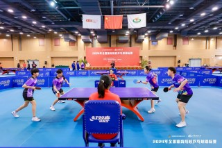 乒乓球锦标赛(世界乒乓球锦标赛)
