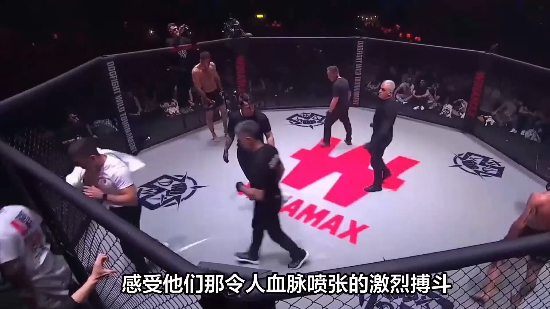 ufc免费直播在哪里观看(ufc免费直播在哪里观看啊)  第2张