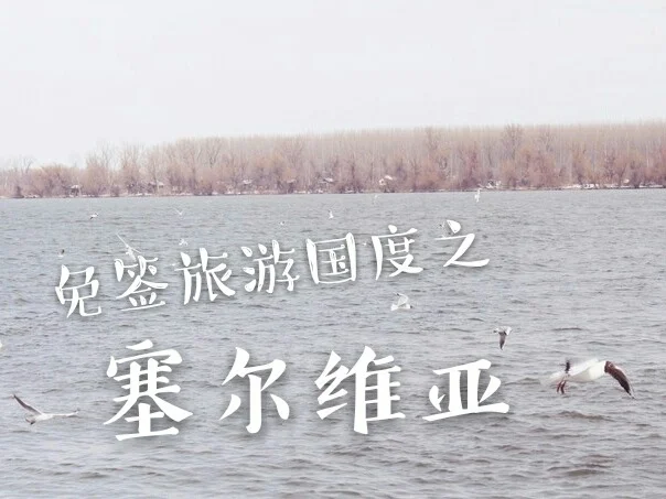 塞尔维亚对华人态度(塞尔维亚对华人态度好吗)  第2张