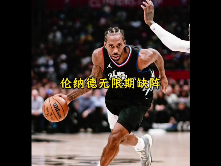 伦纳德(伦纳德米切尔)  第2张