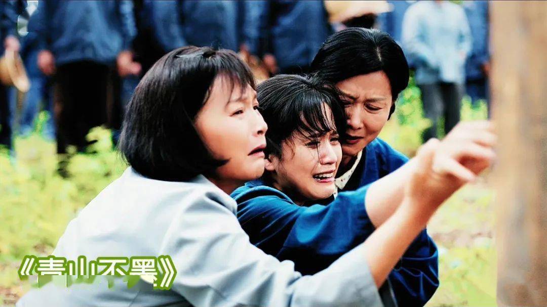 东方卫视今晚回看回放(东方卫视直播电视剧回看今晚)  第2张