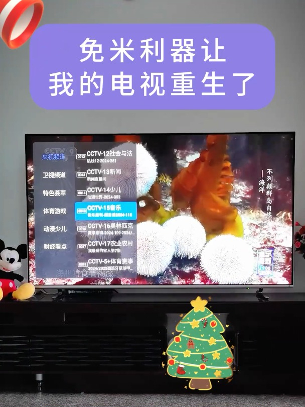手机在线网络电视直播(手机在线网络电视直播app)  第1张