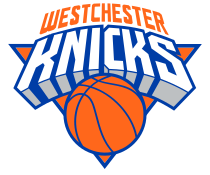 雨燕无插件nba体育直播(雨燕360体育免费直播nba)  第2张